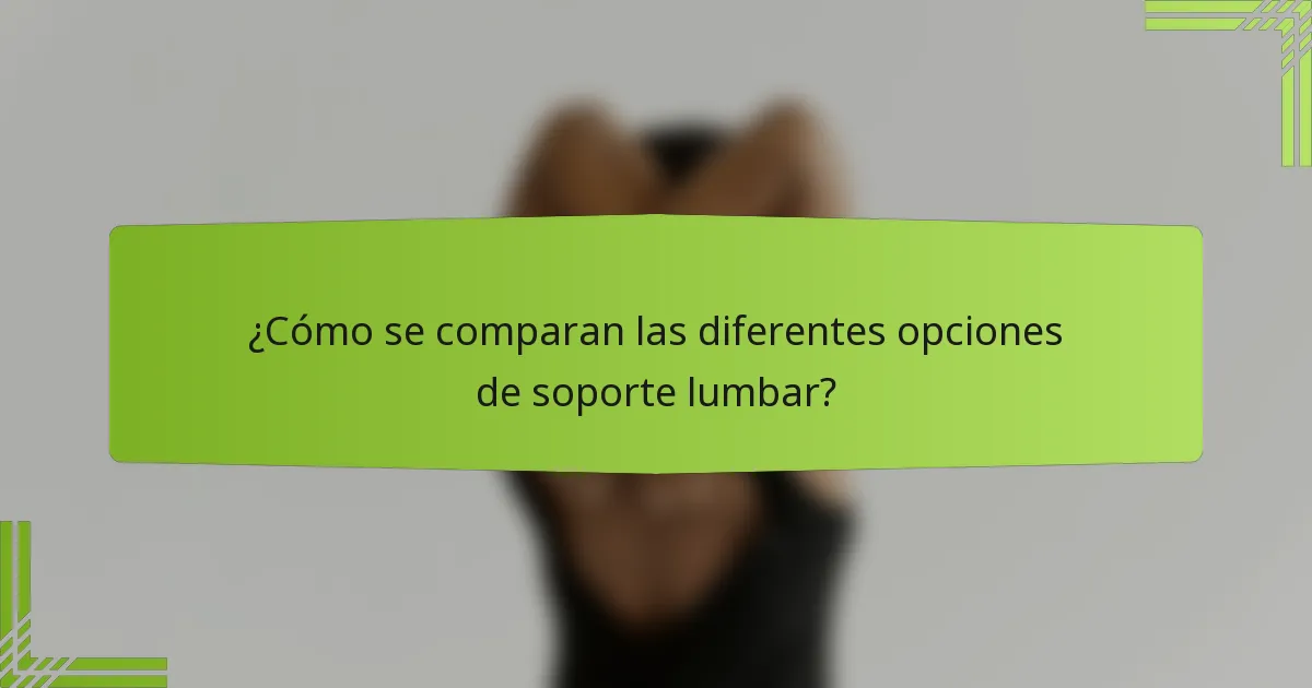 ¿Cómo se comparan las diferentes opciones de soporte lumbar?