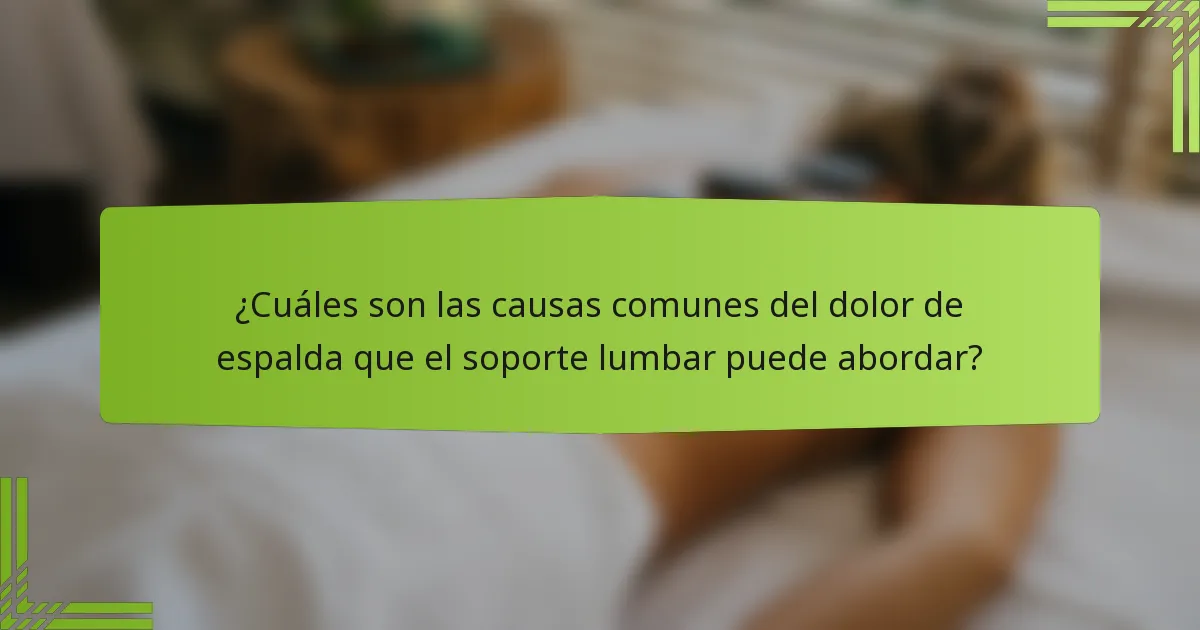 ¿Cuáles son las causas comunes del dolor de espalda que el soporte lumbar puede abordar?