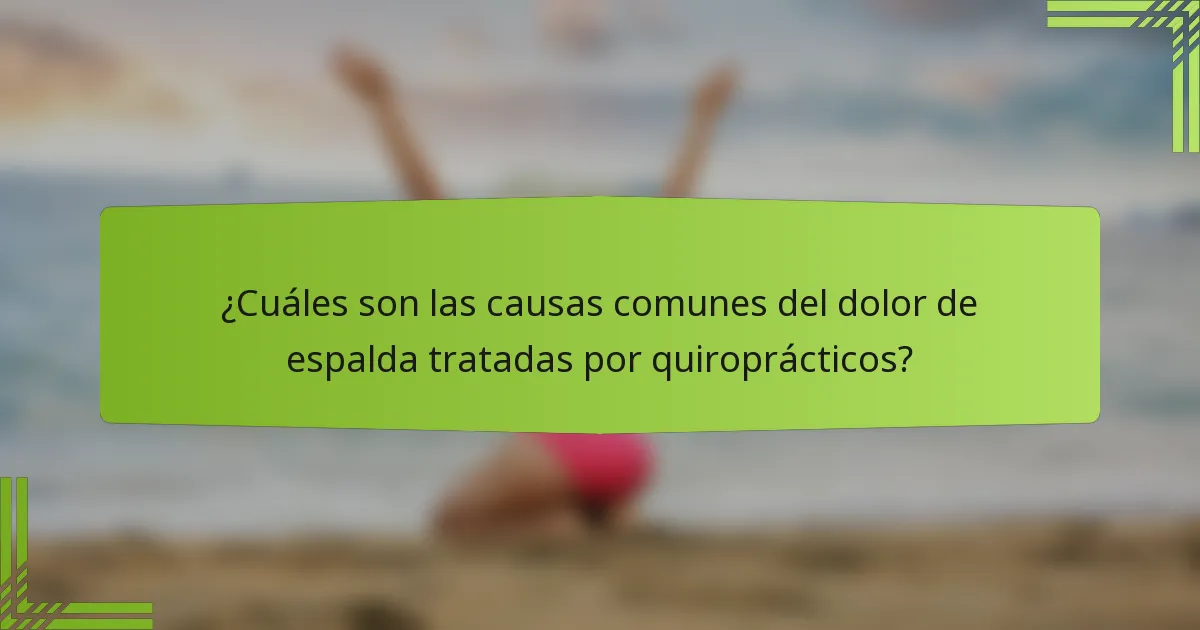 ¿Cuáles son las causas comunes del dolor de espalda tratadas por quiroprácticos?